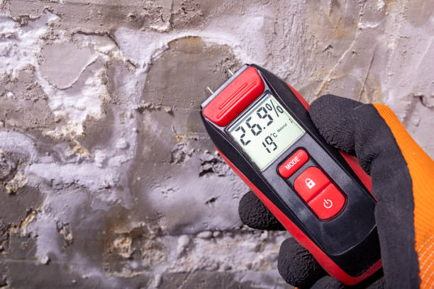 Best Preventive Mold Services in Lanster, CA