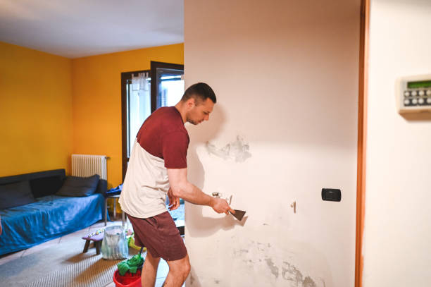Best Localized Mold Remediation (e.g., coastal areas, humid climates) in Lanster, CA